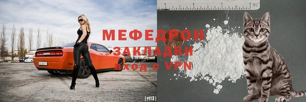 молекула духа Осташков