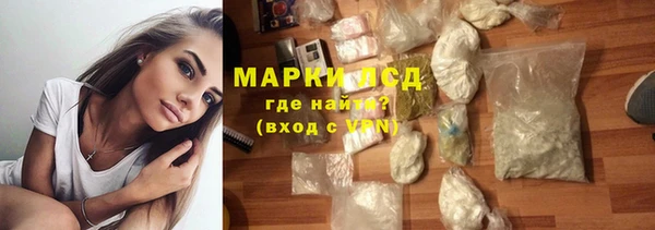 молекула духа Осташков