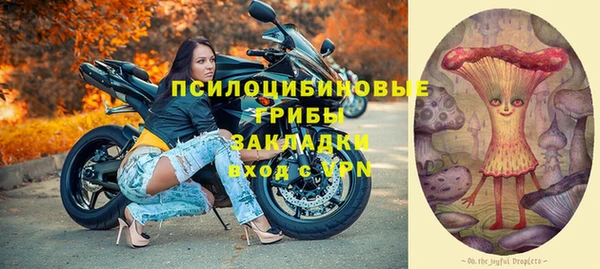 ГАЛЛЮЦИНОГЕННЫЕ ГРИБЫ Видное