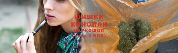молекула духа Осташков