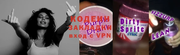 молекула духа Осташков