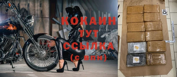 гидра Осинники