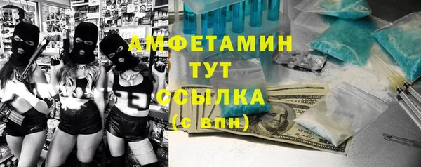 гидра Осинники