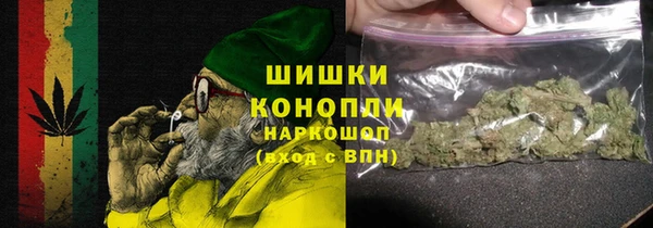 молекула духа Осташков