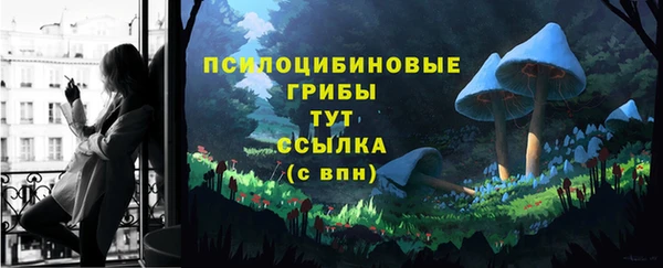 молекула духа Осташков