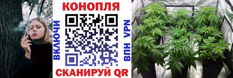 Канабис OG Kush  hydra онион  Малаховка 